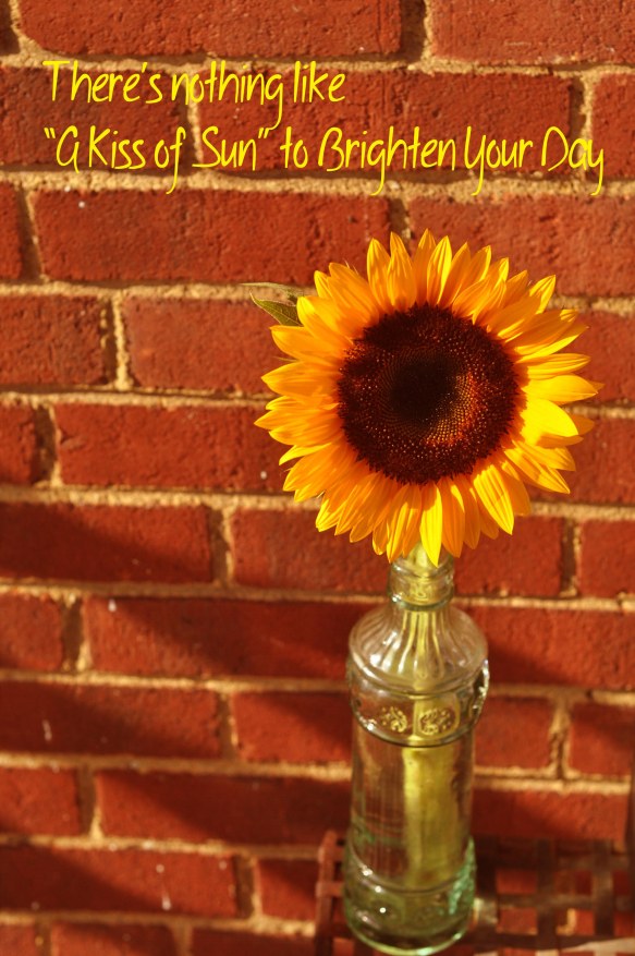Sunkissed Sunflower