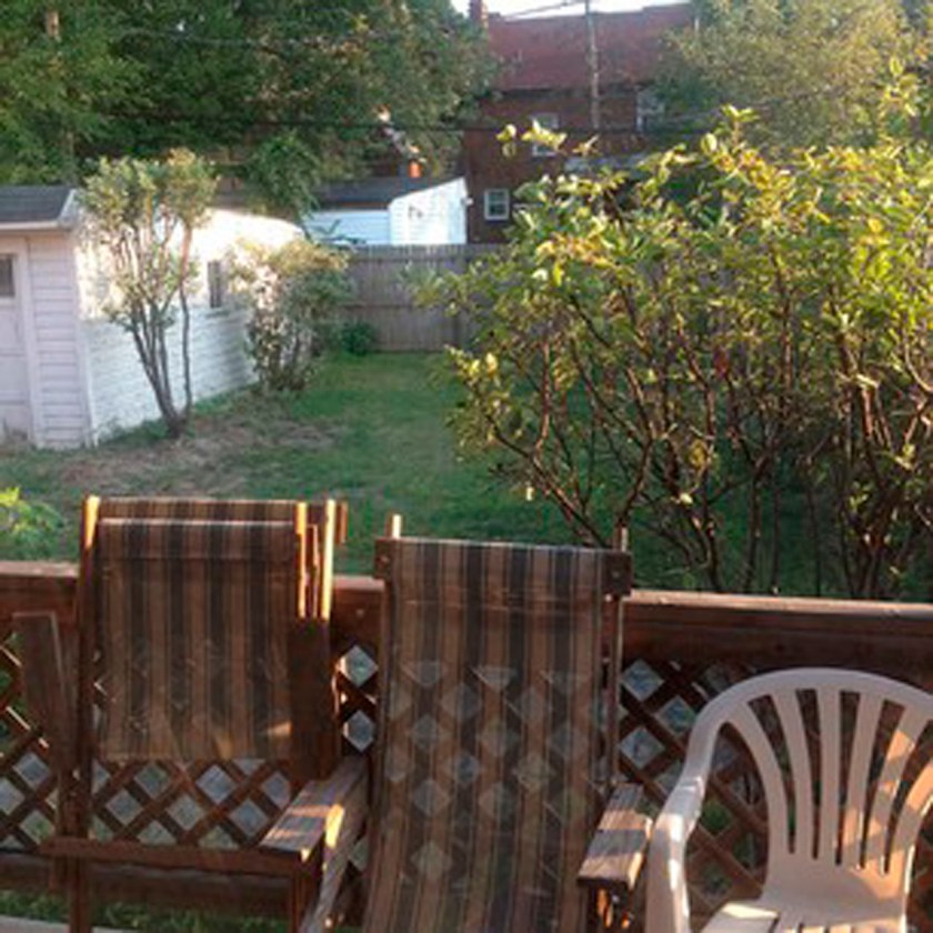 From My Window Backyard view