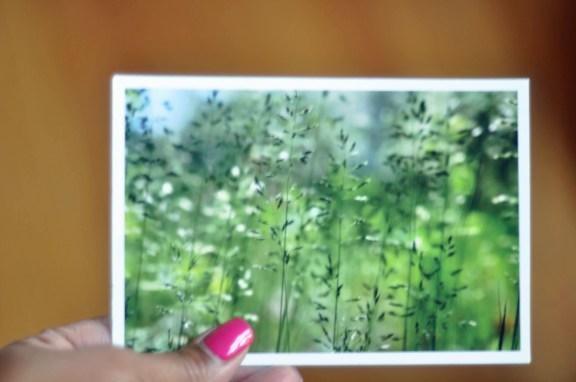 Postcard art