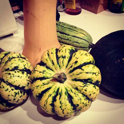 Buttercup, butternut, carnival and delicata squash