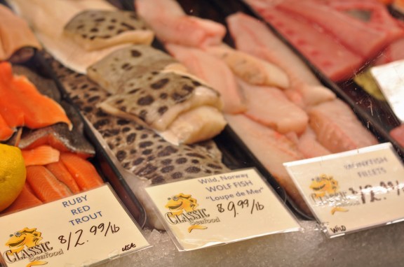Wolf Fish