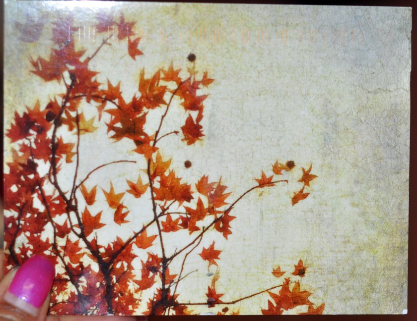 Beautiful fall leaves by Kat Sloma.