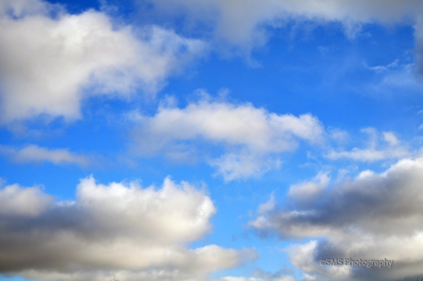 Winter Sky