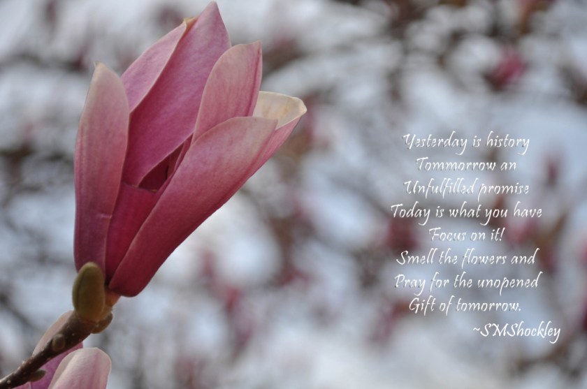 FB_Focus-